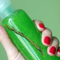 Por qué debes de agregar una hoja de romero a tu shampoo