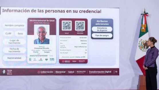 Avalan expertos nueva credencial de salud, pero urgen recursos y atención garantizada
