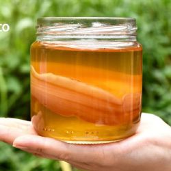 ¿Por qué debo incluir kombucha en mi dieta? Esto dicen los expertos