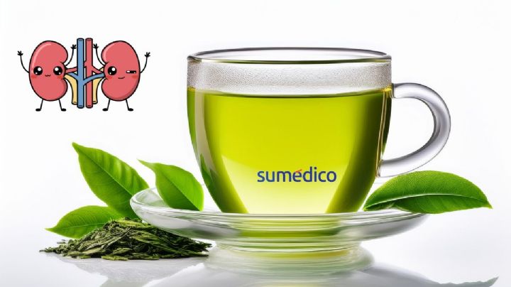 ¿Por qué el té verde es un gran aliado para los riñones?