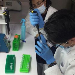 ¿Qué es la genotipificación oncológica y por qué beneficia a los pacientes con cáncer? 