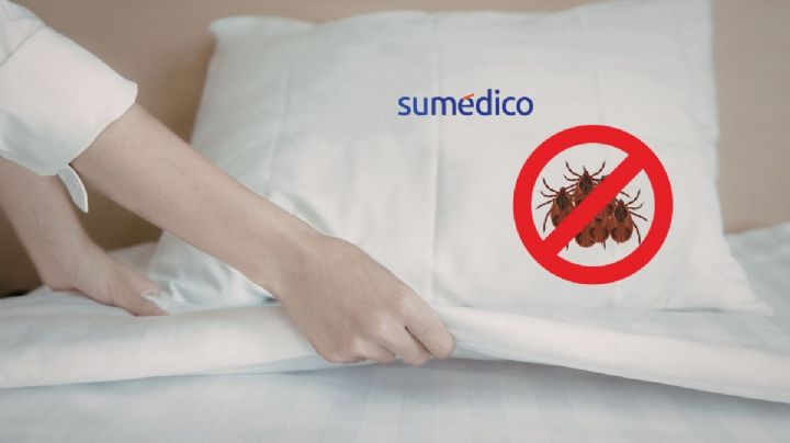 ¿Cómo limpiar de manera efectiva el colchón para eliminar los ácaros?