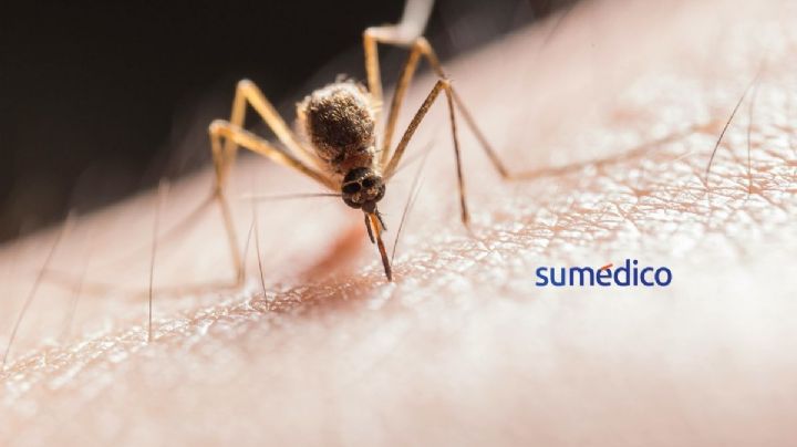 Malaria: la enfermedad que se da por un piquete de mosco