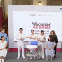 Suman vacuna contra virus sincicial a cartilla para embarazadas