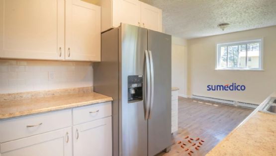 ¿Cómo eliminar las cucarachas que se esconden en tu refrigerador?