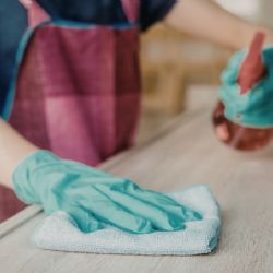 Cómo eliminar hormigas de la cocina con un remedio natural y efectivo