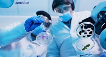 PiSA e INSP impulsan investigación en salud pública