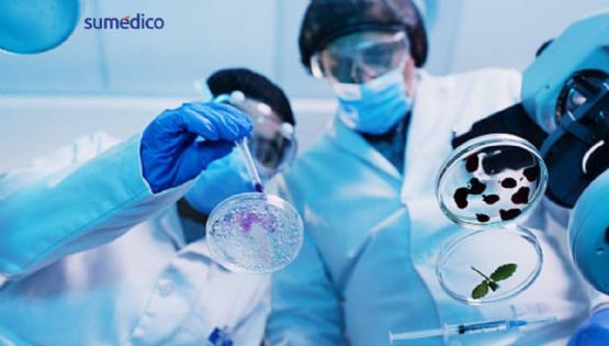 PiSA e INSP impulsan investigación en salud pública
