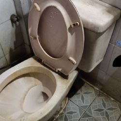 ¿Cuáles son las partes más sucias de tu casa?