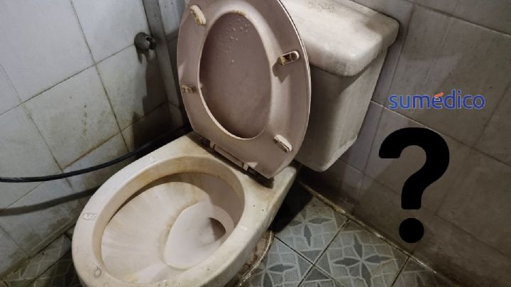 ¿Cuáles son las partes más sucias de tu casa?