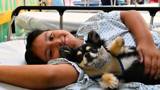 Huellitas que sanan: los beneficios de la terapia con perros en el Instituto Nacional de Pediatría