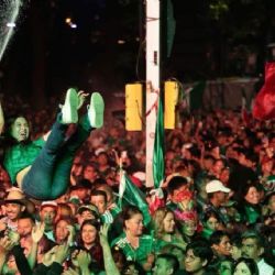 Antes de gritar "¡quiere volar!", esto es lo que debes saber