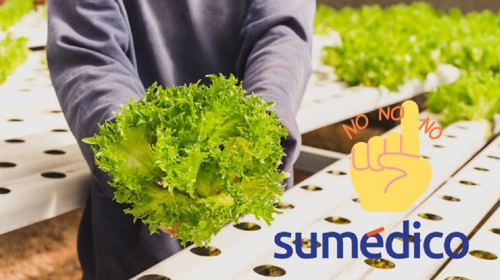 ¿Qué alimentos debes evitar comer para NO contagiarte de diarrea explosiva?