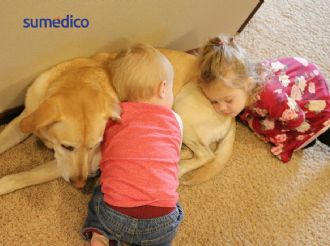 Niños pequeños que conviven con perros son más sanos: estudio