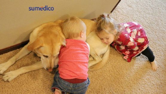 Niños pequeños que conviven con perros son más sanos: estudio