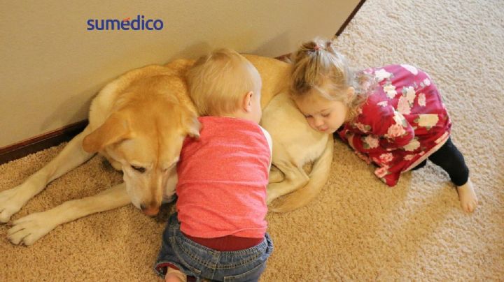 Niños pequeños que conviven con perros son más sanos: estudio