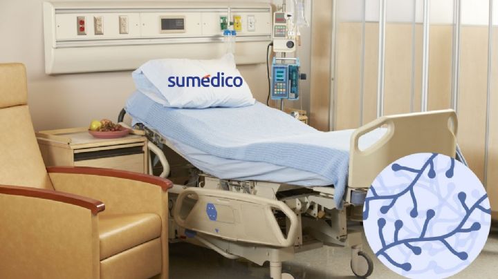 El hongo que se esconde en los hospitales y ya supera los 3.400 casos en EE.UU.