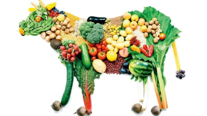 5 beneficios de llevar una alimentación vegana