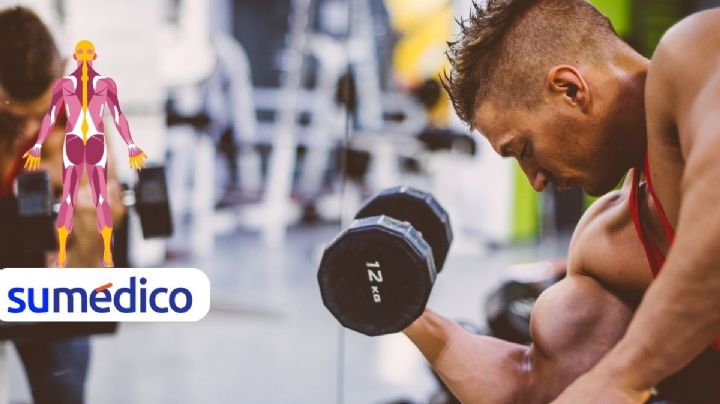 ¿Aumentar repeticiones o carga? La clave para incrementar la masa muscular