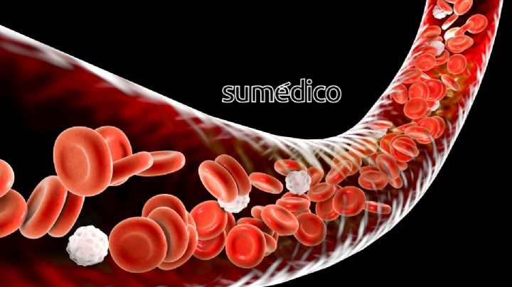 Consume estos alimentos para fortalecer tu salud cardiovascular