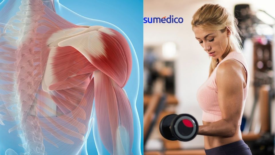 Así puedes aumentar la masa muscular sin fallar