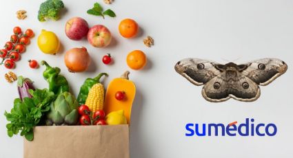 ¿Qué alimentos atraen a las polillas? Ten en cuenta estos 5 alimentos