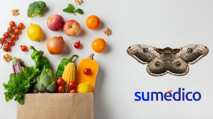 ¿Qué alimentos atraen a las polillas? Ten en cuenta estos 5 alimentos