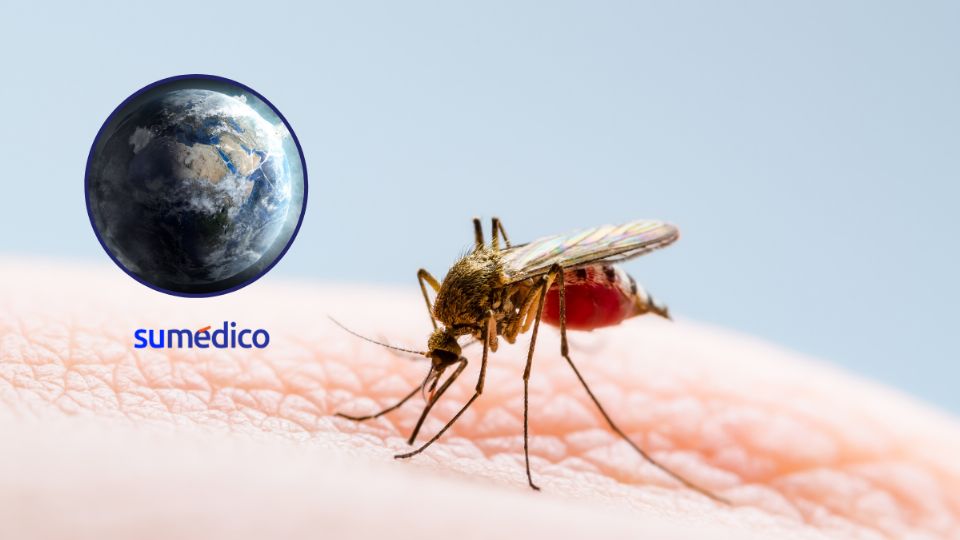 Brote descontrolado de virus e infecciones causadas por mosquitos, un problema de salud mundial