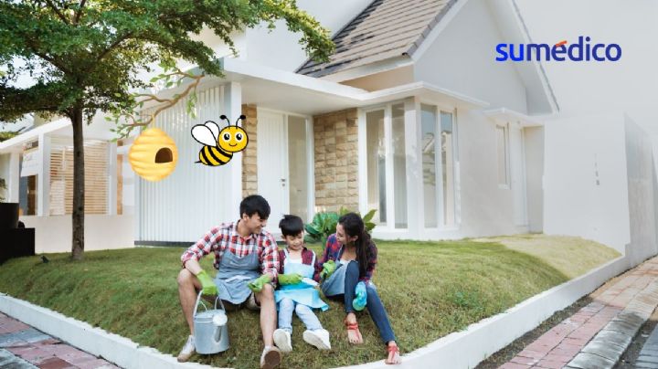 5 formas de quitar un panal de la casa sin hacerle daño a las abejas