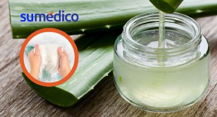 ¿Cómo recuperar el color blanco de la ropa? Conoce los secretos del aloe vera