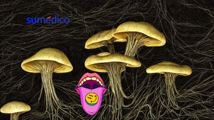 ¿La terapia psicodélica tiene beneficios para la salud mental?