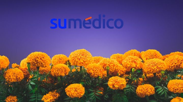 ¿Qué es la flor de cempasúchil y qué beneficios aporta a la salud?