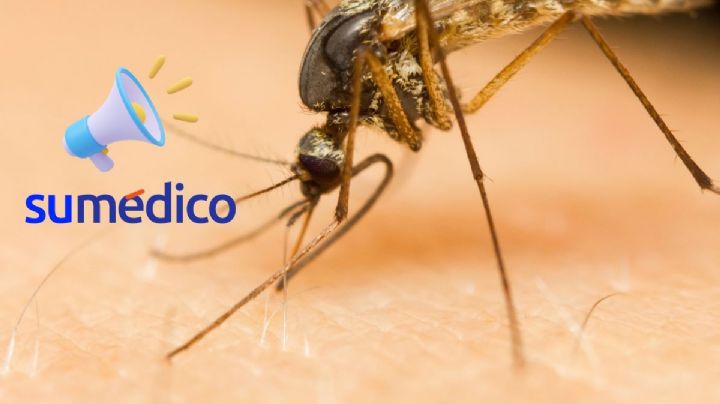 ¿Qué es el virus del Valle de Cache que ha puesto alerta a Estados Unidos?