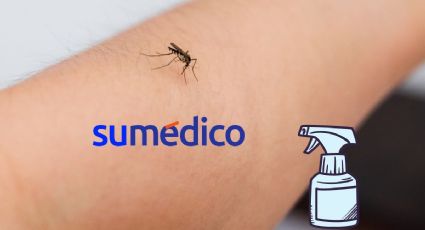 Conoce esta mezcla natural para ahuyentar a los mosquitos de tu casa