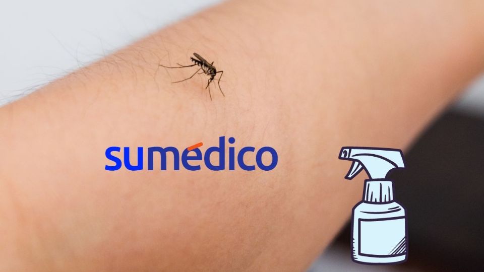 Aleja a los mosquitos de tu casa con este truco de limpieza natural