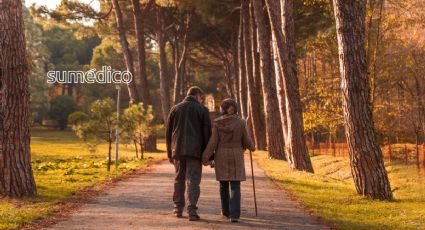 La atención a la salud de las personas adultas mayores debe ser amorosa e integral