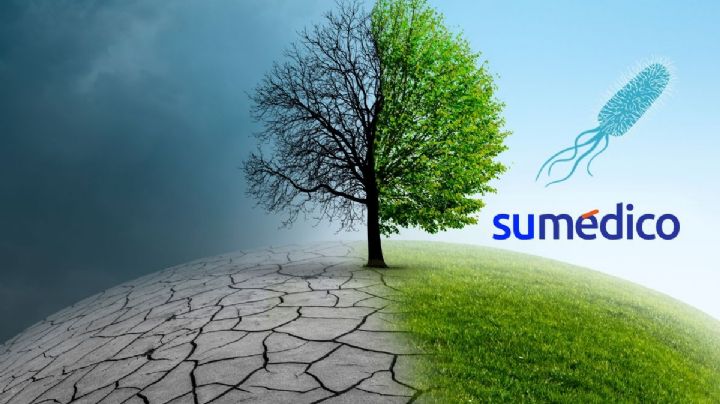 OMS advierte sobre una bacteria acuática a causa del cambio climático
