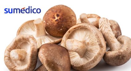 Lo que necesitas saber del hongo shiitake y sus beneficios en la salud