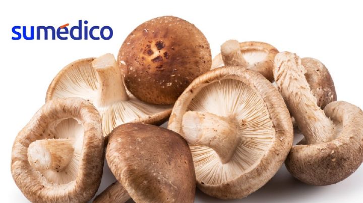 Lo que necesitas saber del hongo shiitake y sus beneficios en la salud