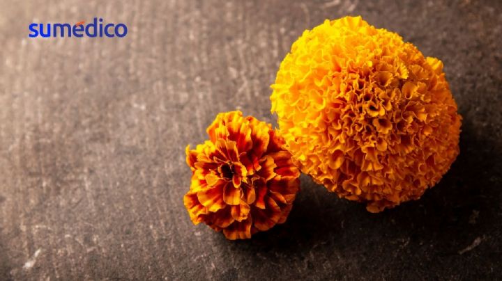 ¿Qué hacer con el cempasúchil después de Día de Muertos?