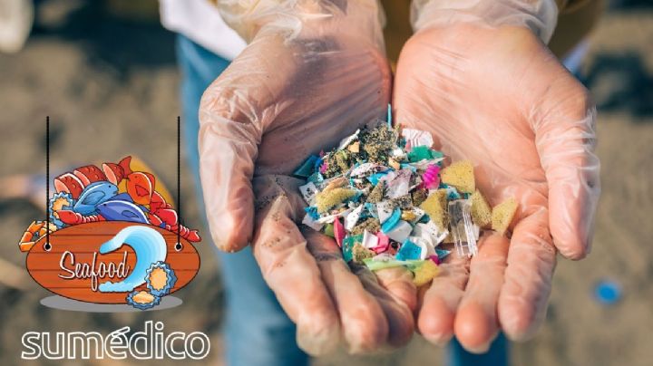 Parkinson y demencia, posibles consecuencias de nanoplásticos en alimentos