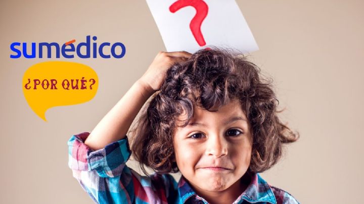 Los mejores consejos para sobrevivir a la etapa del por qué