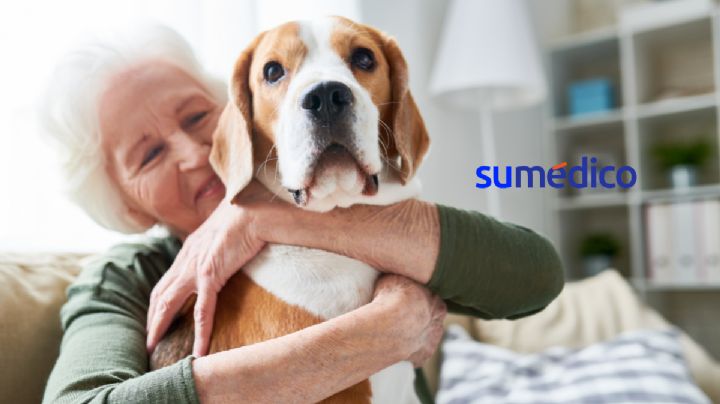 Beneficios de las mascotas para las personas adultas mayores