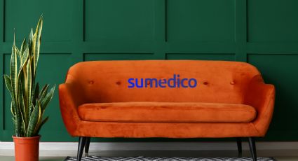 Truco para eliminar la suciedad del sillón sin fallar en el intento