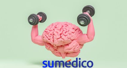 ¿Qué fruta ayuda a cuidar el cerebro?