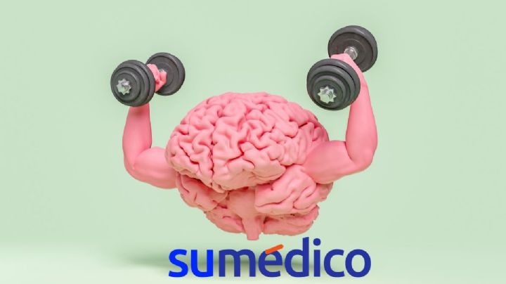 ¿Qué fruta ayuda a cuidar el cerebro?