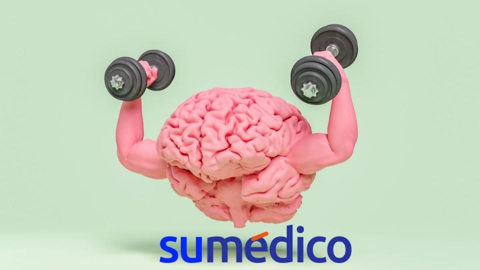 Hay una fruta en especial que ayuda a fortalecer y cuidar el cerebro