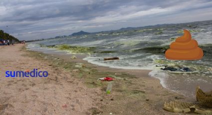 ¿Qué playas son las más contaminadas y qué consecuencias tienen en la salud?