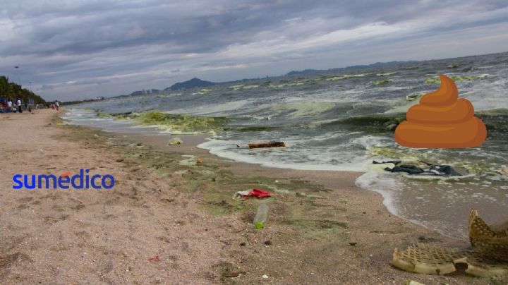 ¿Qué playas son las más contaminadas y qué consecuencias tienen en la salud?