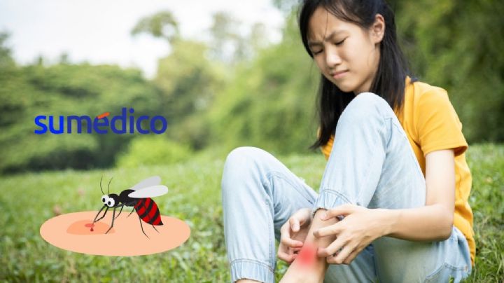 ¿Qué es el dengue y cuáles son sus síntomas?